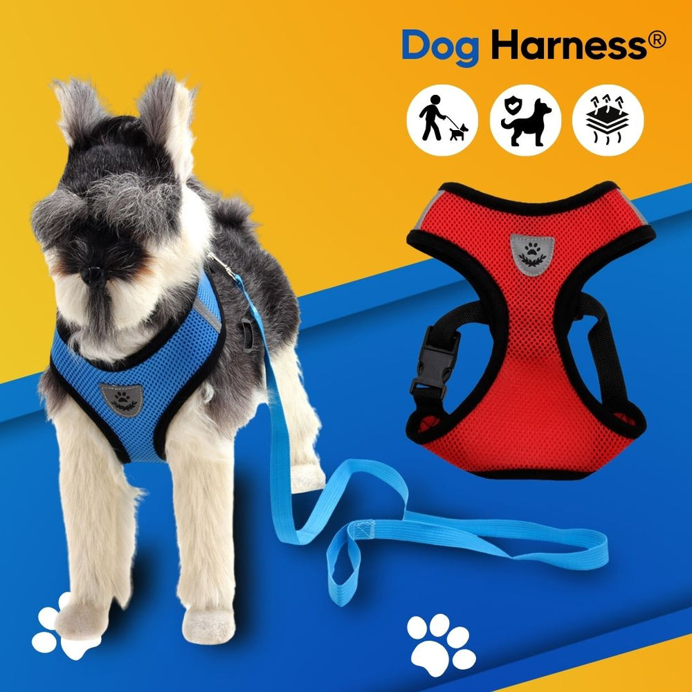 DenHavn | Dog Harness®