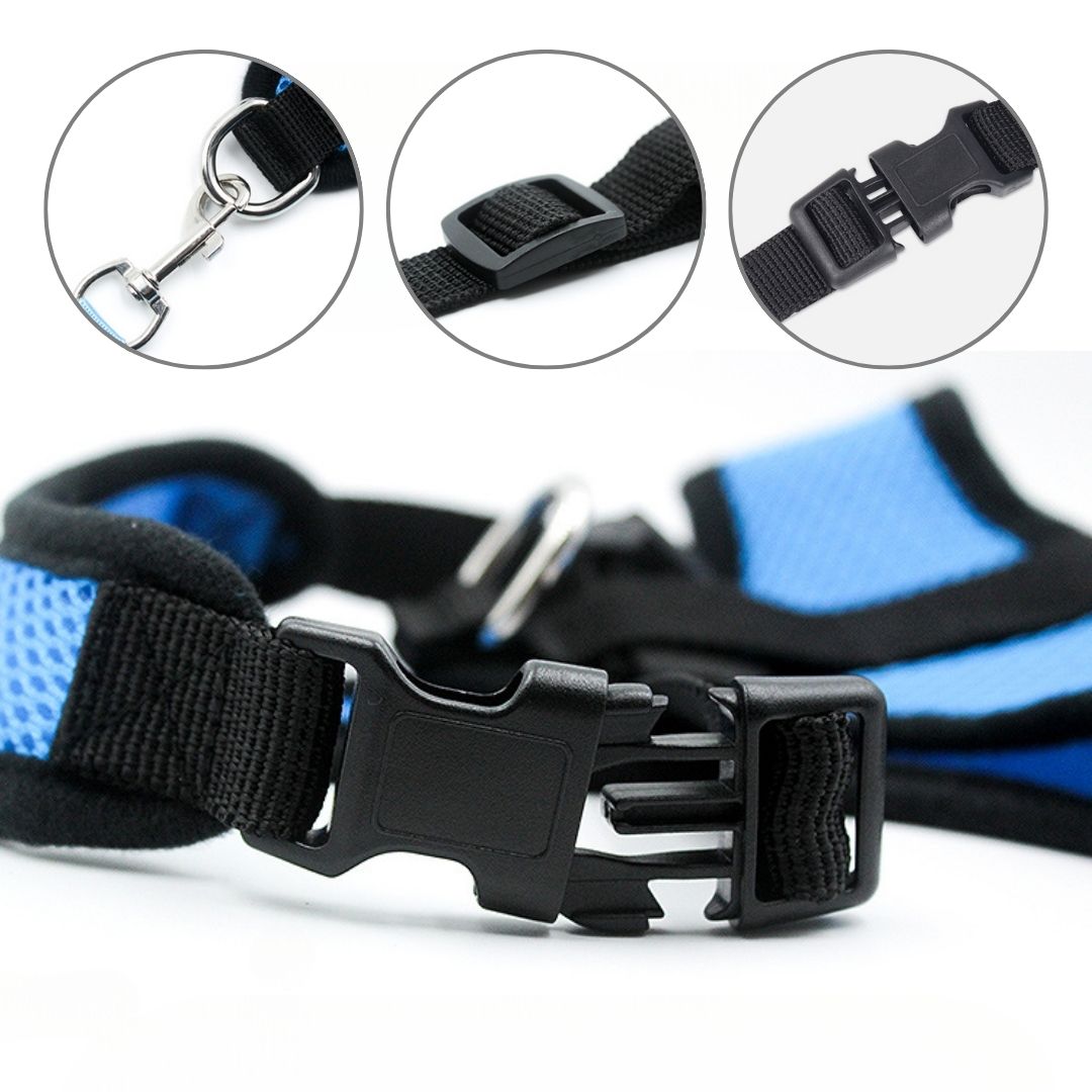 DenHavn | Dog Harness®