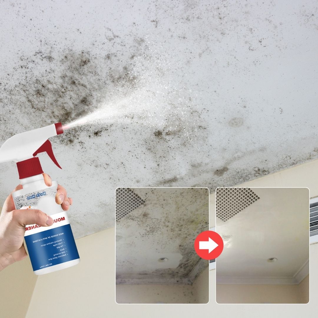 DenHavn | Mold Remover Spray®