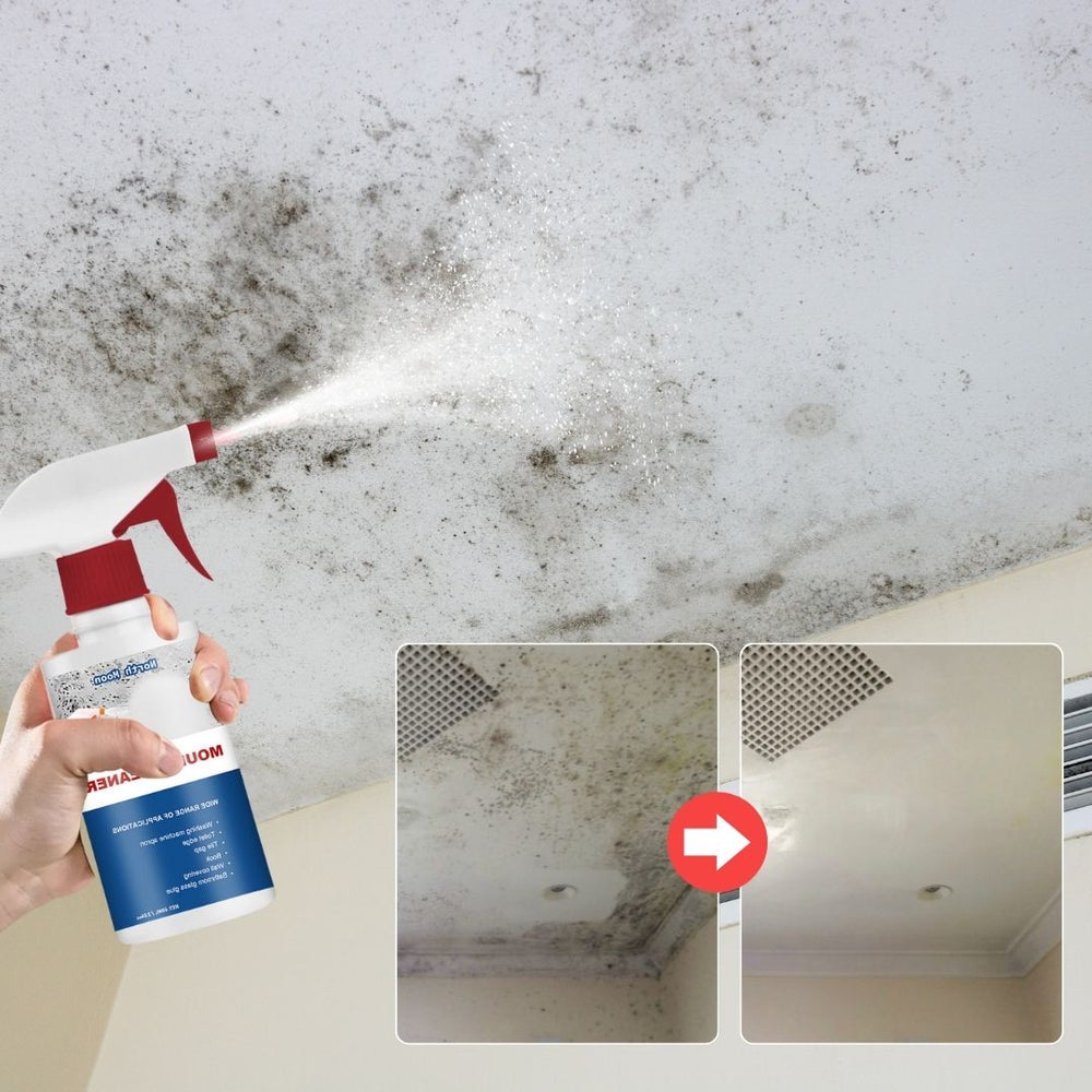 DenHavn | Mold Remover Spray®