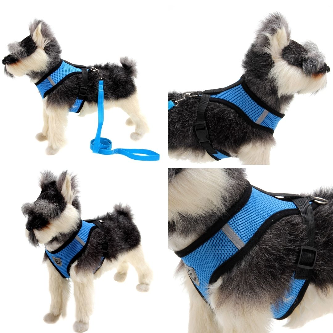 DenHavn | Dog Harness®