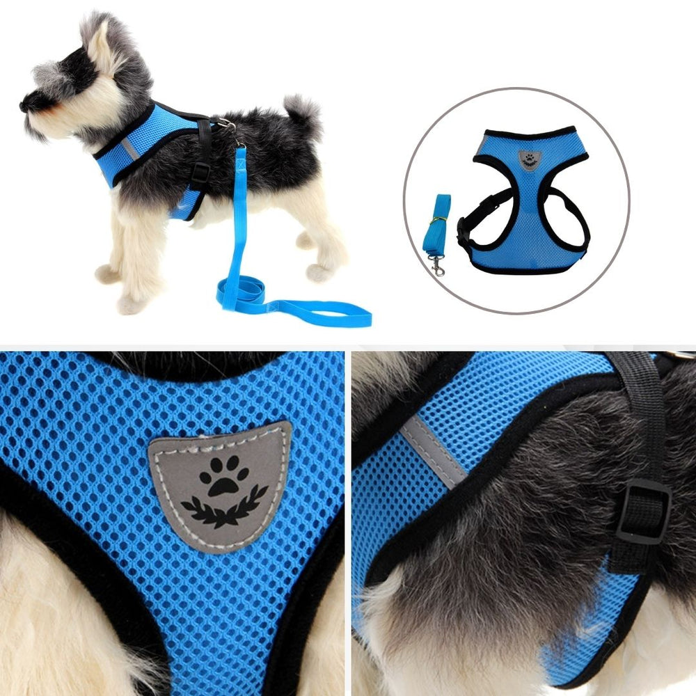 DenHavn | Dog Harness®