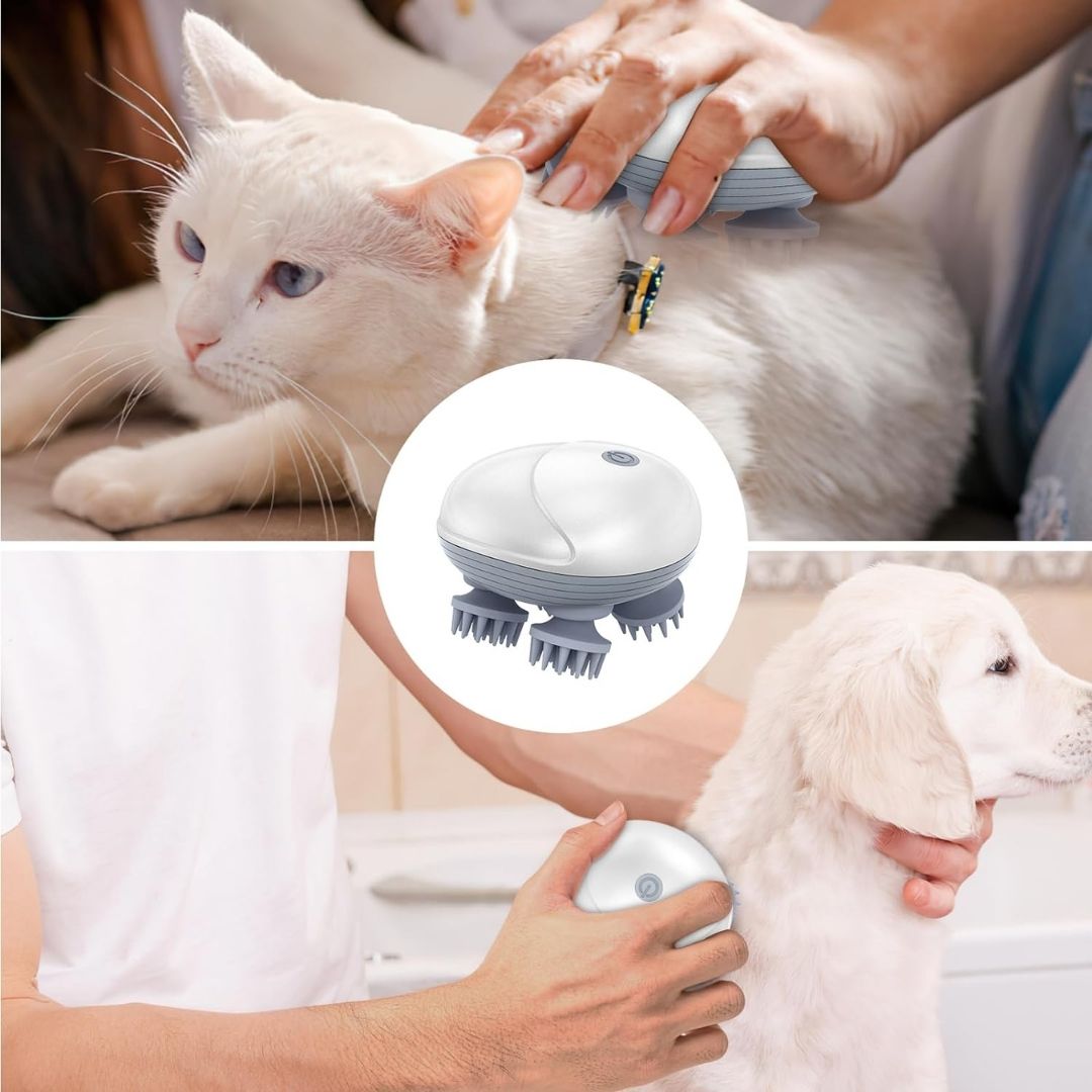 DenHavn | Cat Massager®